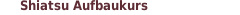 Shiatsu Aufbaukurs